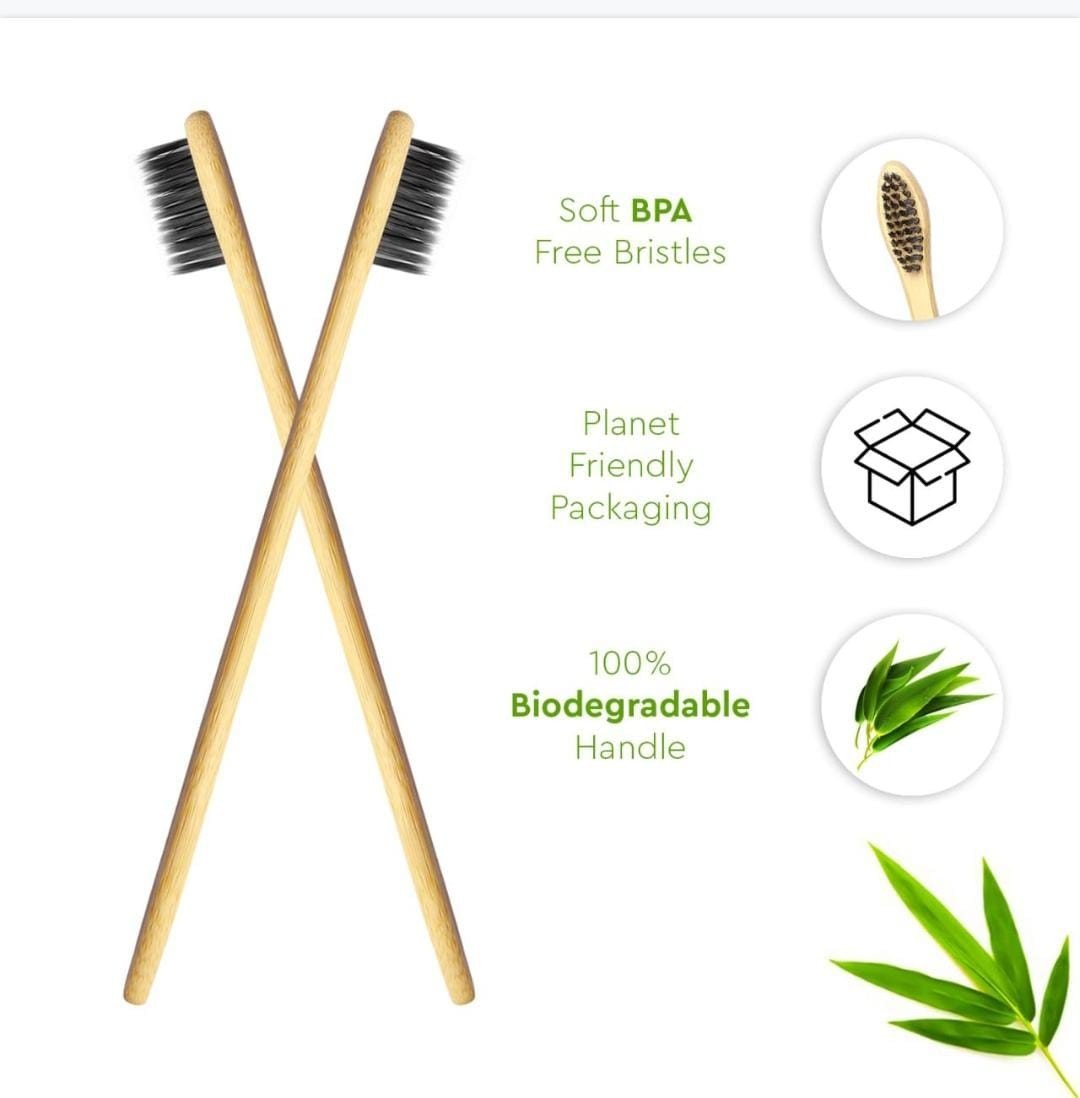Bamboo Brushes: A Sustainable and Eco-Friendly Option